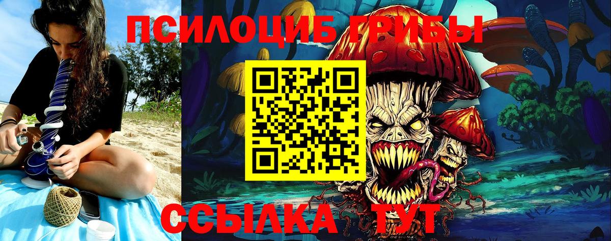 Псилоцибиновые грибы Psilocybe Тула