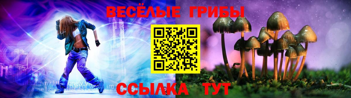 Псилоцибиновые грибы MAGIC MUSHROOMS  Псилоцибиновые грибы Magic Shrooms  Вход с VPN  Тула 